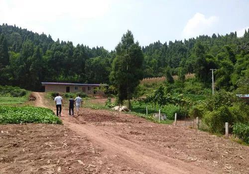 2020年农村8个行业前景可佳,创业的朋友可以好好发挥