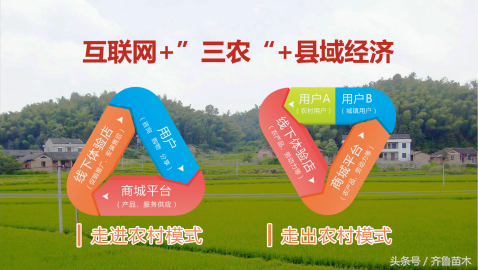 农村做什么最赚钱，这5大项目看看有适合你的吗？