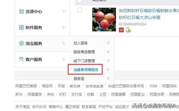 卖家如何开通消费者保障服务?