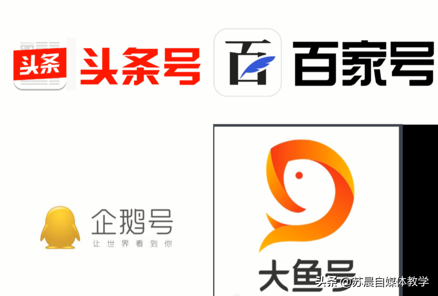 什么是自媒体?新手怎么做自媒体赚钱?建议收藏哦