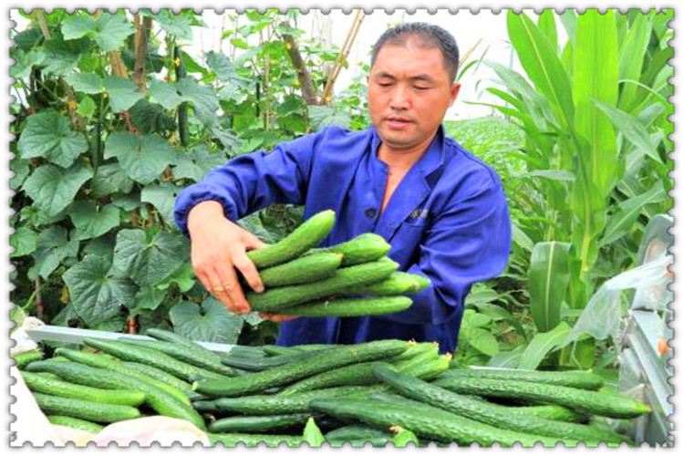 目前在农村,有哪些快速挣钱的办法呢?这几种都行