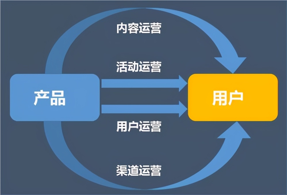 运营主要是做什么工作的(浅谈知识点新手运营从哪开始学)