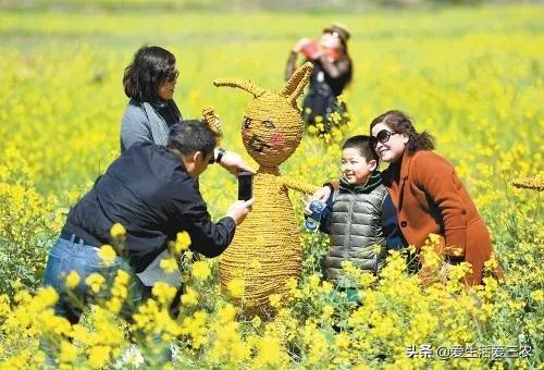 这八大项目未来几年前景很好,现在可以提前入局,很实用!