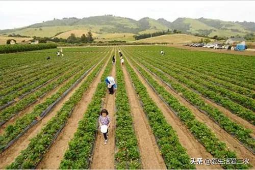 这八大项目未来几年前景很好,现在可以提前入局,很实用!