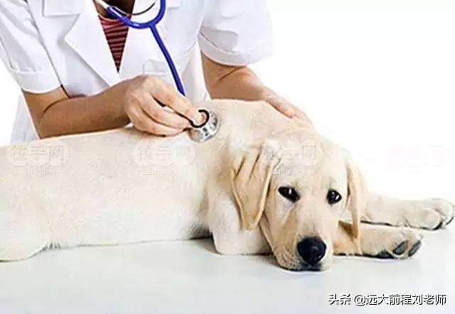 就业好，又能创业的四个大学专业