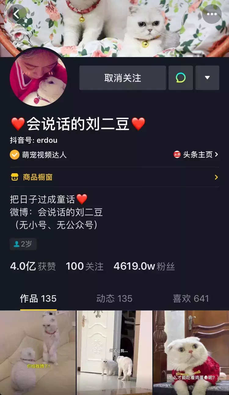 抖音短视频怎么拍,如何拍出爆红的抖音短视频